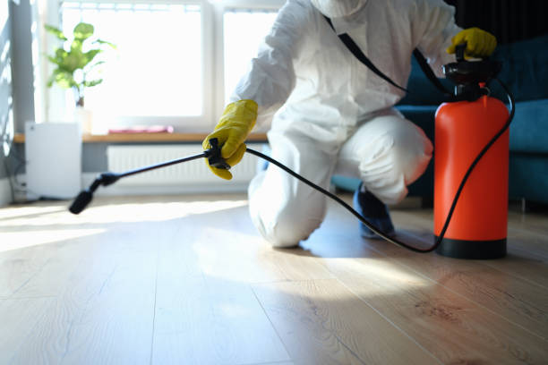 Reliable Odor Removal contractor in Deer, AR by Crime Scene Cleaner Online